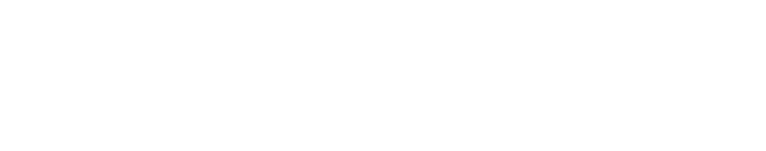 Stylus Capital